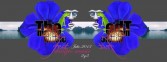 [THE MAGIC MUSIC FESTIVAL 2&3] (OPEN AIR) -