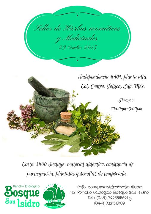 TALLER DE HIERBAS AROMÁTICAS Y MEDICINALES (BOTIQUÍN VERDE) | Toluca