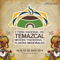 5ta Feria Nacional del Temazcal