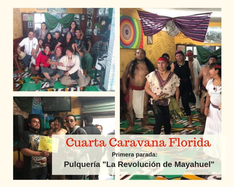 Caravana florida - Mayahuel
