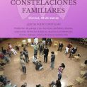 Terapia Constelaciones Familiares en Toluca