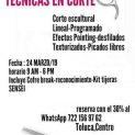 Curso Avanzado Tecnicas En Corte