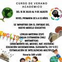 Curso de Verano Académico