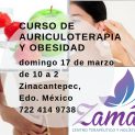 Curso de Auriculoterapia y Obesidad