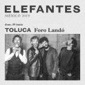 Elefantes en Toluca