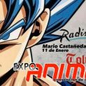 Expo anime toluca 2020
