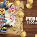 Paw Patrol en vivo