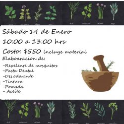 imágen del evento