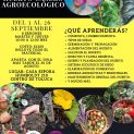 Taller Intensivo de Huerto Casero Agroecológico