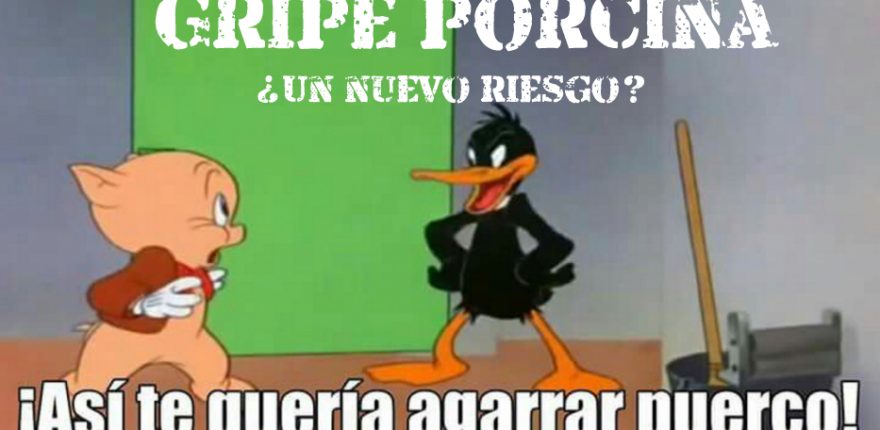 gripe porcina - portada